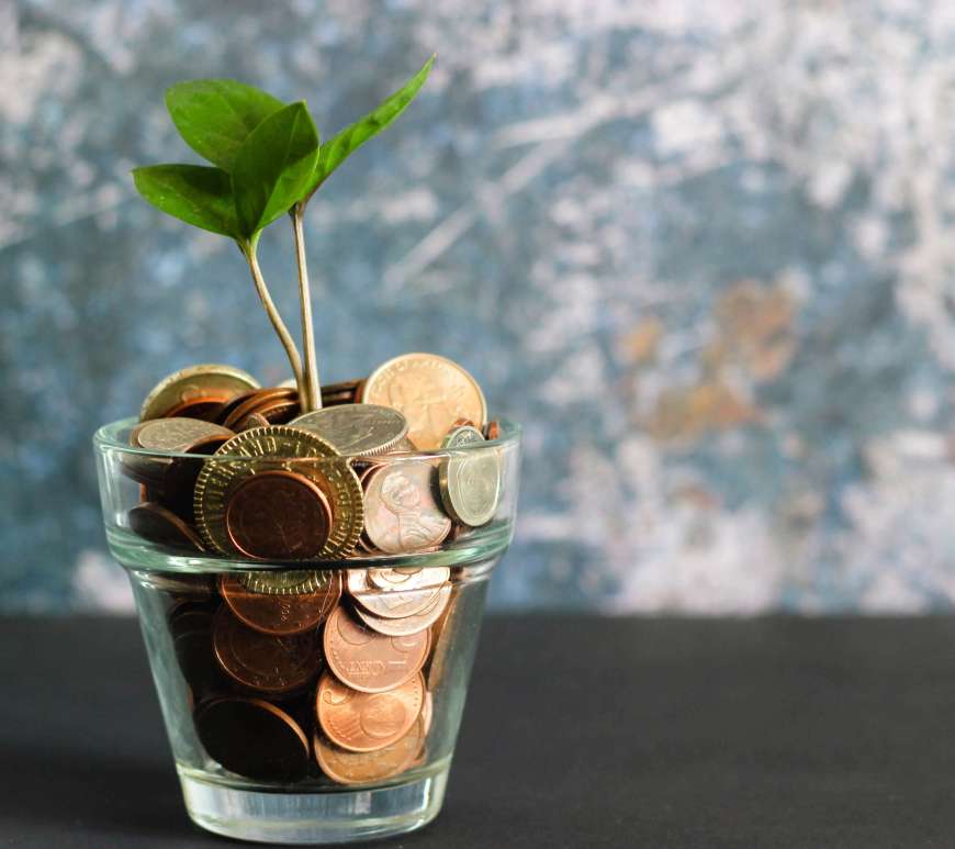 A glass of coins with a leaves sprouting up